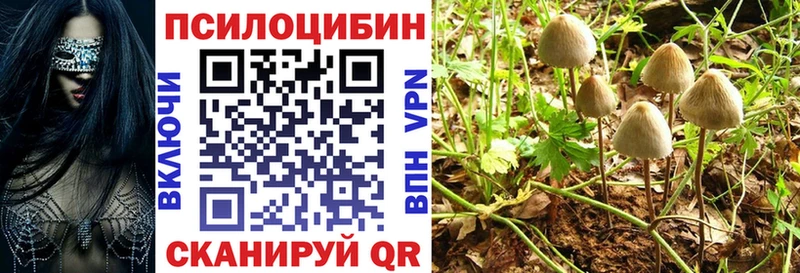 Купить где  Глазов  Псилоцибиновые грибы мухоморы 
